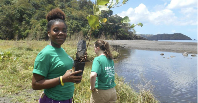 Two volunteers, one holding a plant