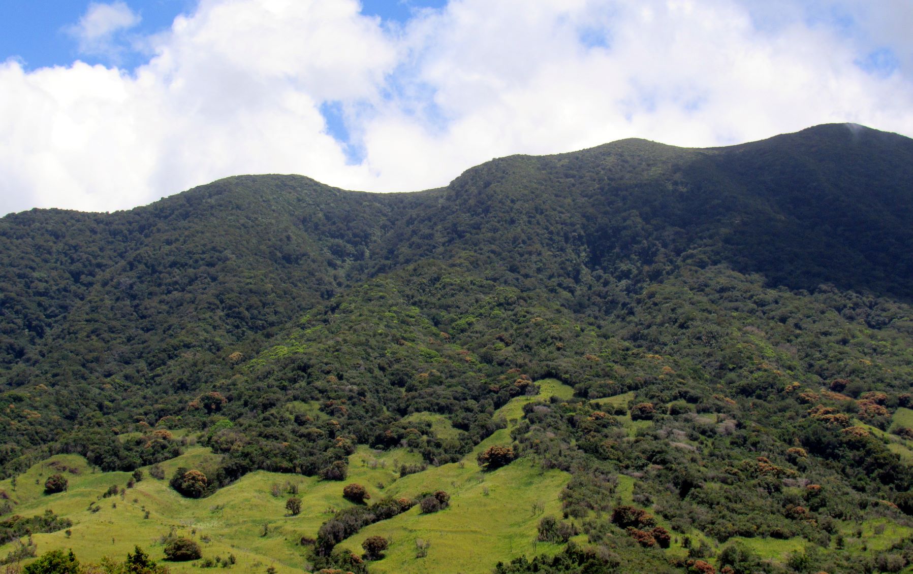 The Central Forest Reserve National Park