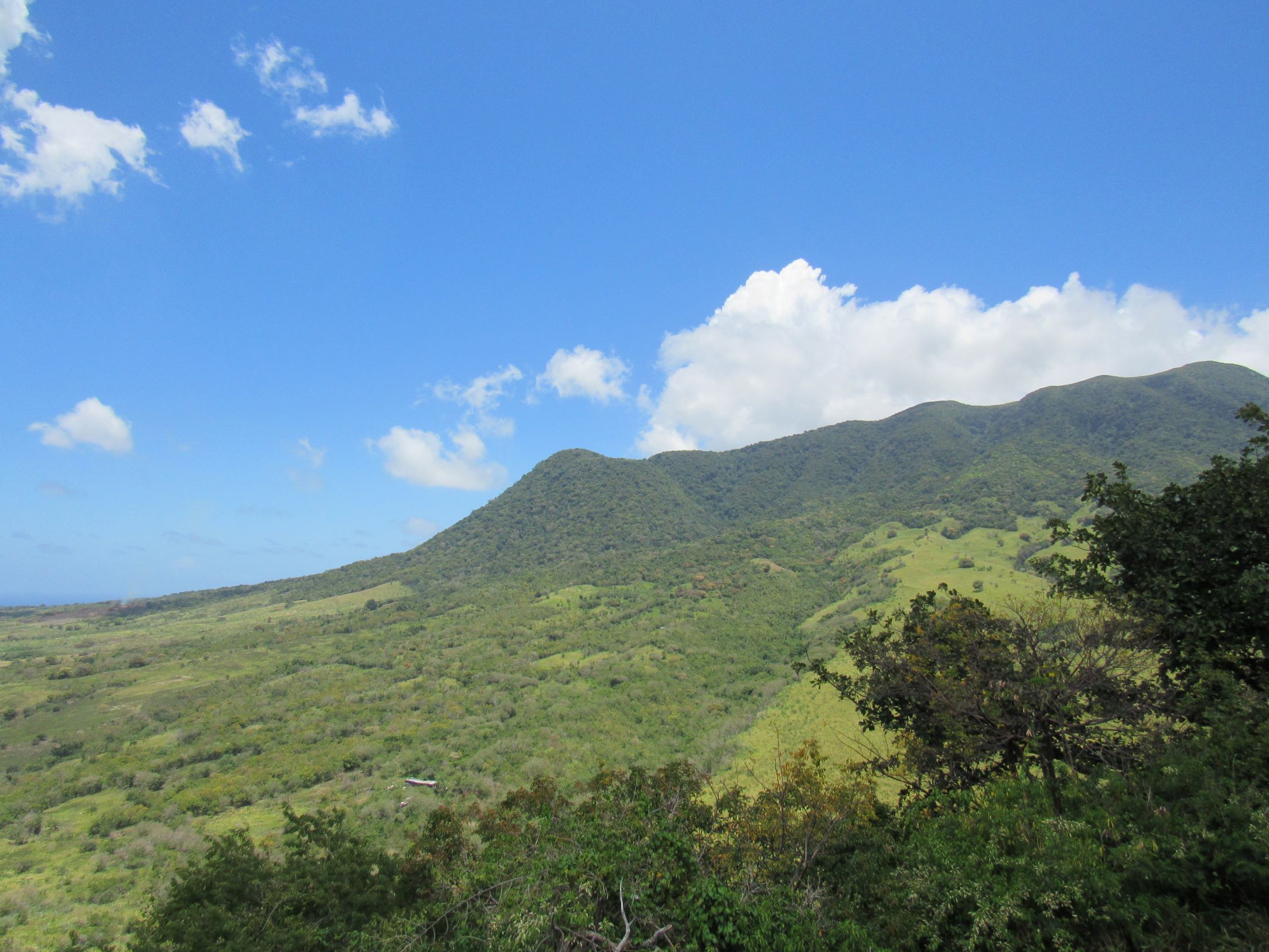 The Central Forest Reserve National Park