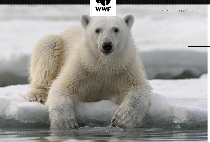 World Wildlife Fund 